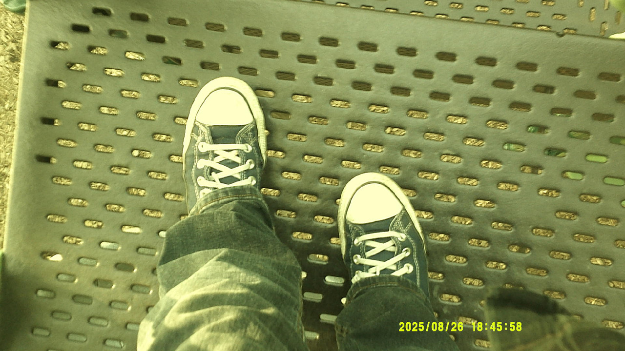 a green gradient