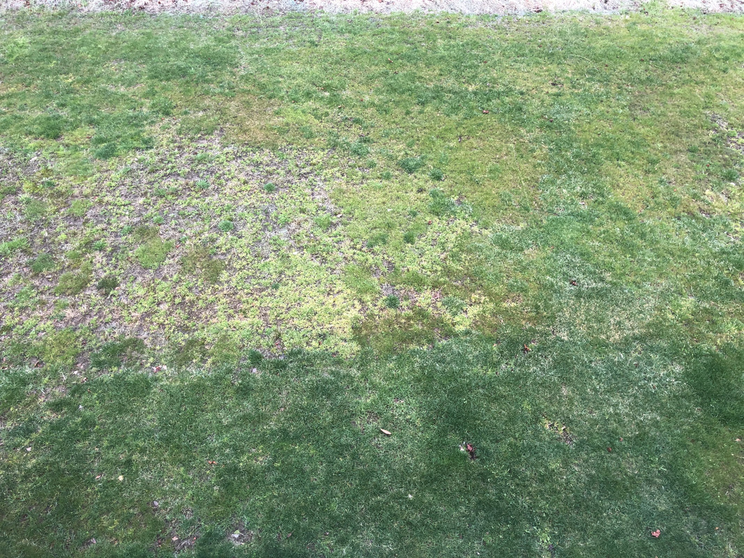 A4B663A9-A276-4FA8-A215-F5F620BA0E63