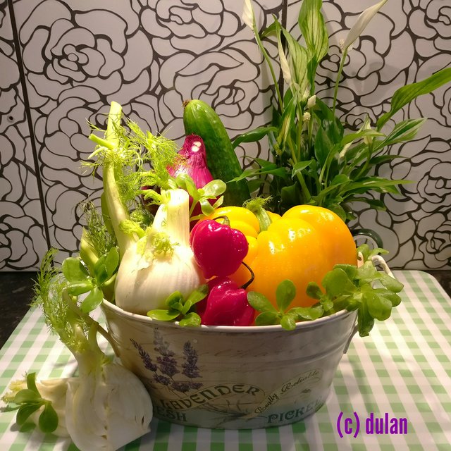 [Image: IMG-20240712-221455.jpg]