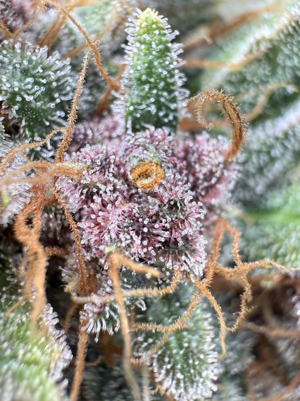 72F1A8B3-B554-44D4-9B21-3EF4897BFD7C