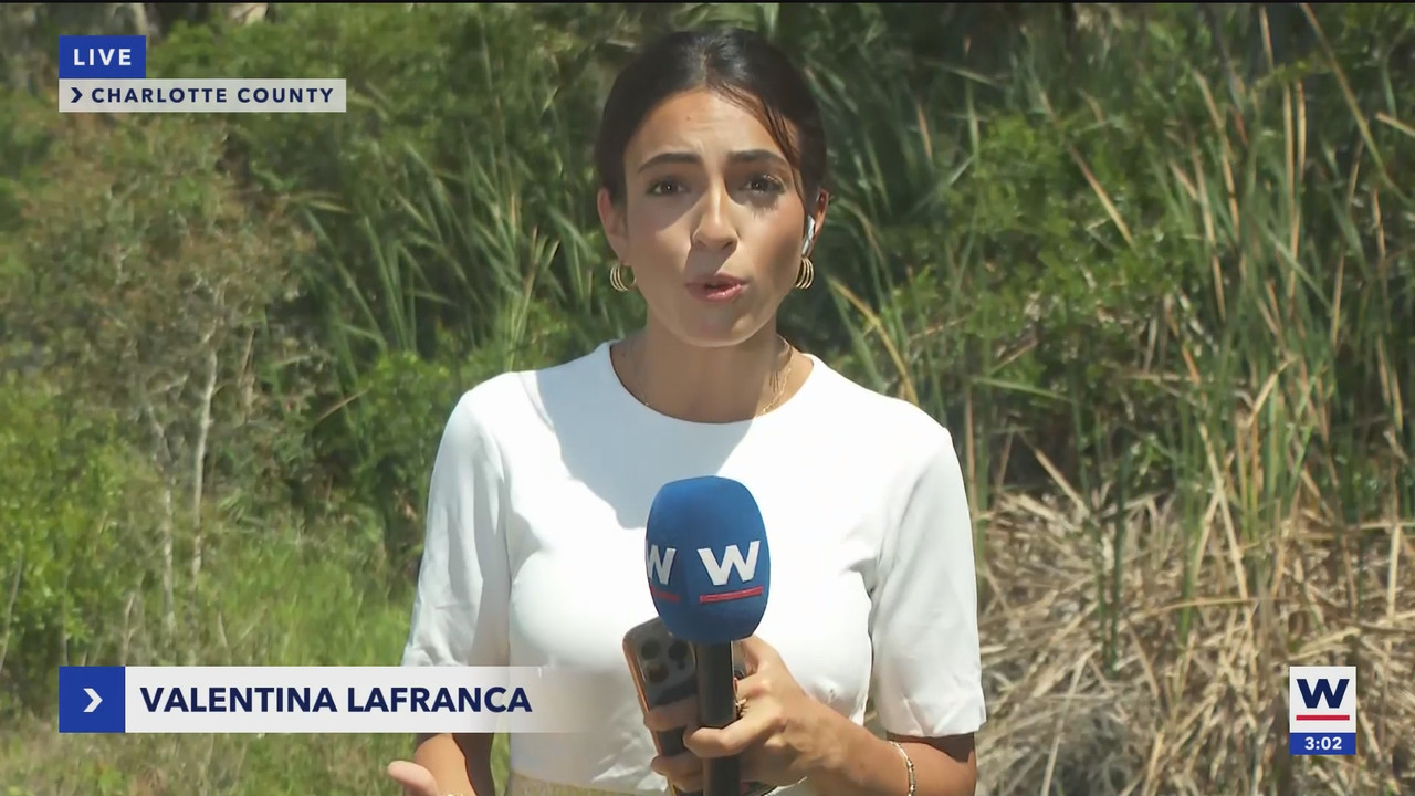 WINK News at 3pm_20250514_20002100.ts_snapshot_00.02.46.212