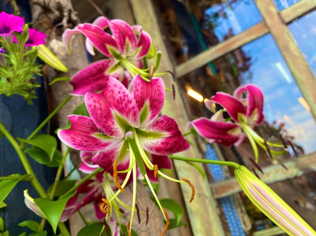 11E3F186-0505-4F5D-B0C6-11BBD6DDA467