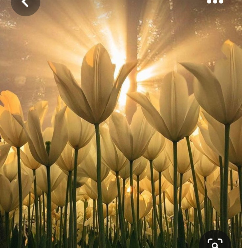 Screenshot_20230512_225757_Pinterest