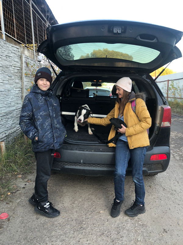 7A1751E8-4F89-4801-8519-56C0D2BD734C