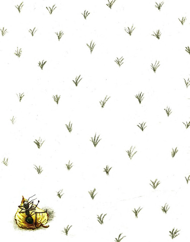 p0002