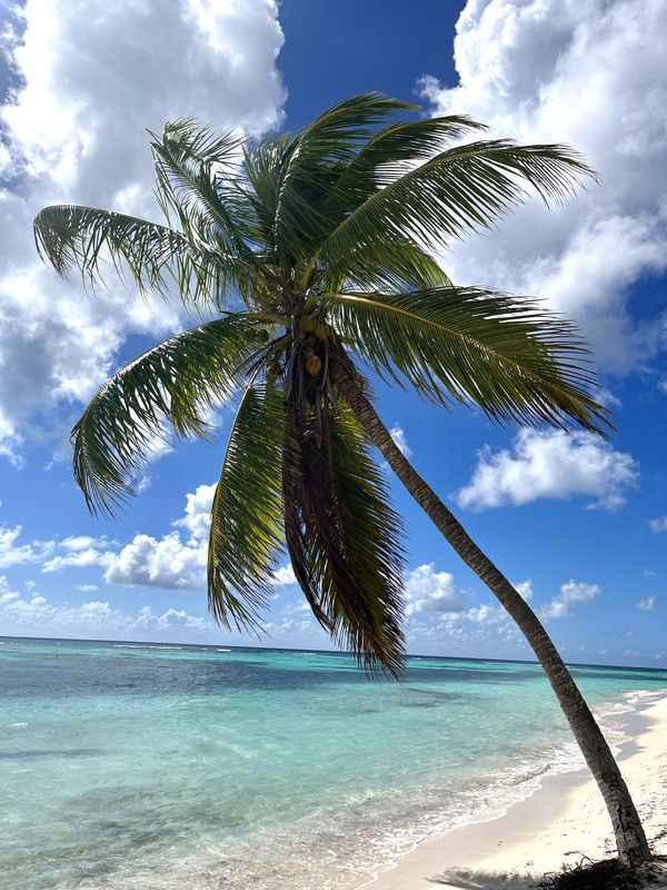 46F6505E-74DC-4A55-A173-F3E2F3878D0F