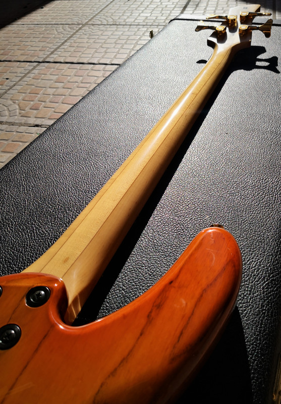 IMG-20201201-125515.jpg
