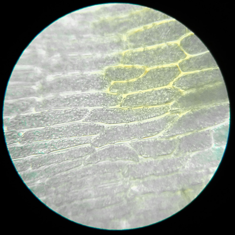 IMG 20250614 111338 HDR