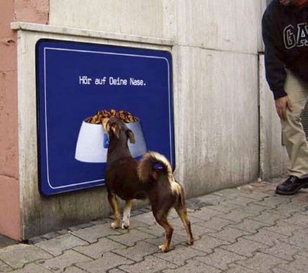 17 очень смешных животных, которые попали впросак