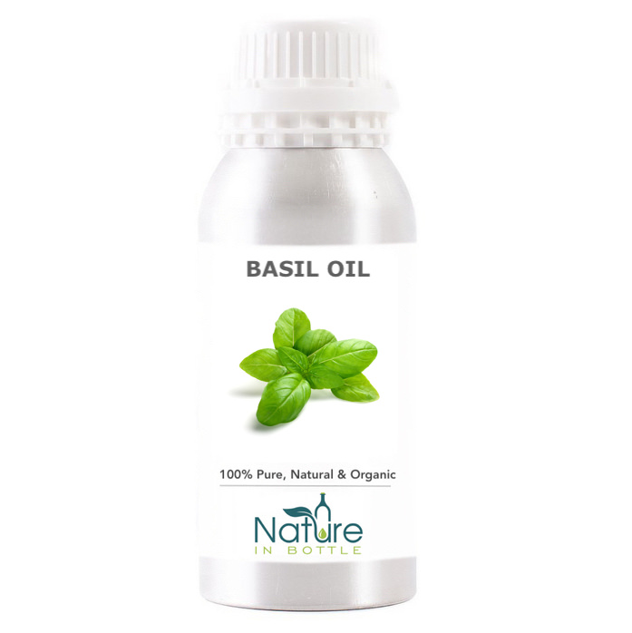 Basil Essential Oil Organic Sweet Ocimum Basilicum India