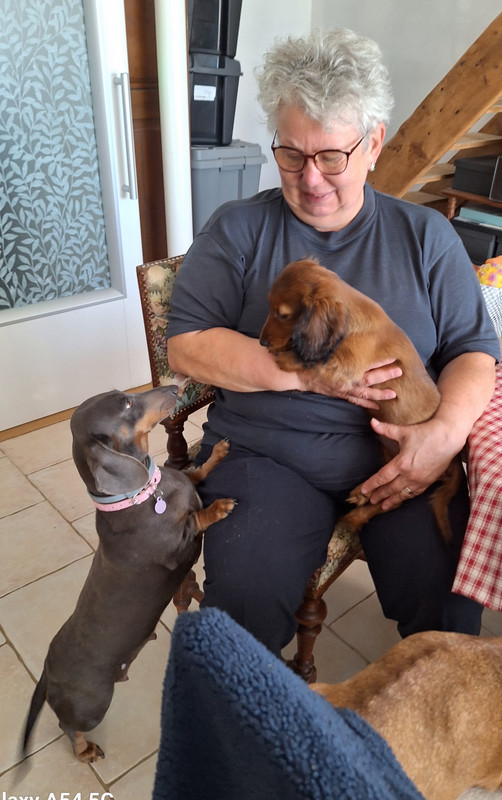 [Image: 20240927-094645.jpg]