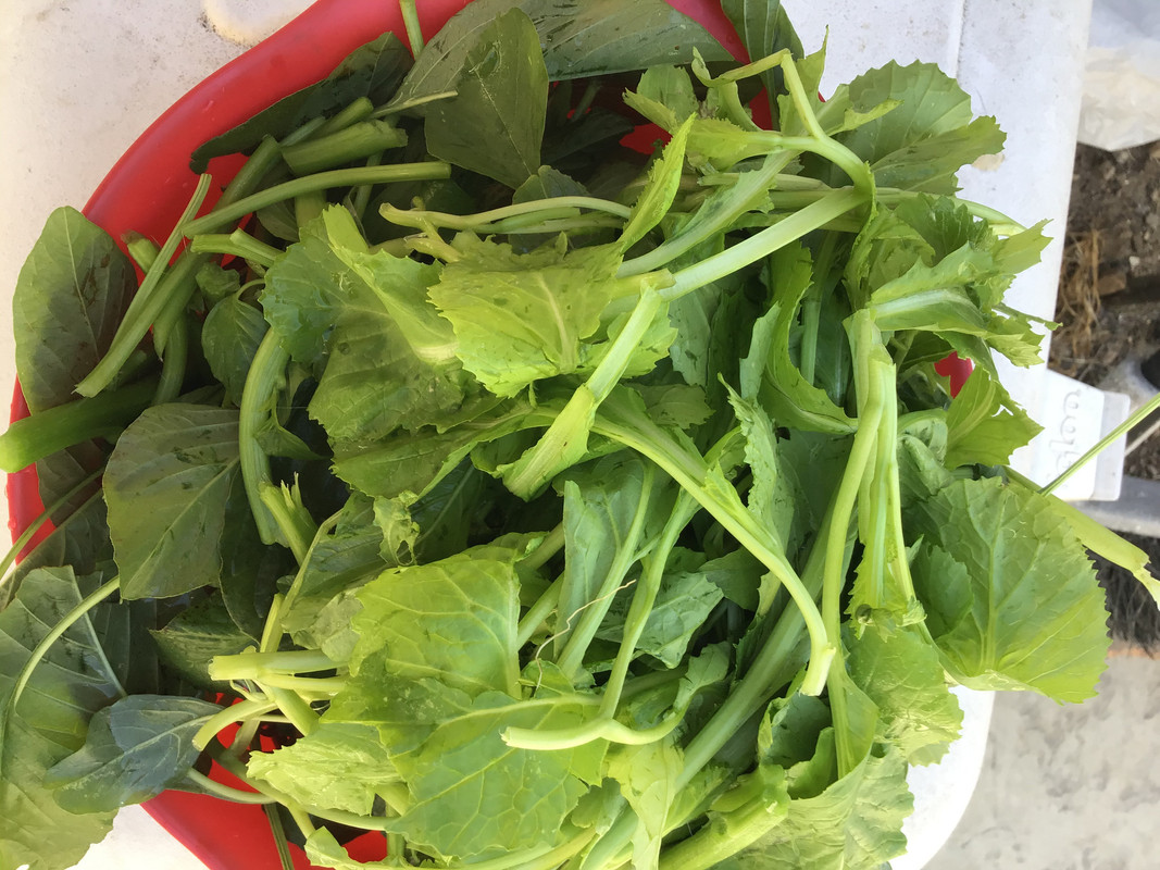 F0C1E21A-F27C-4EDA-AFB1-25071BF3CDCE