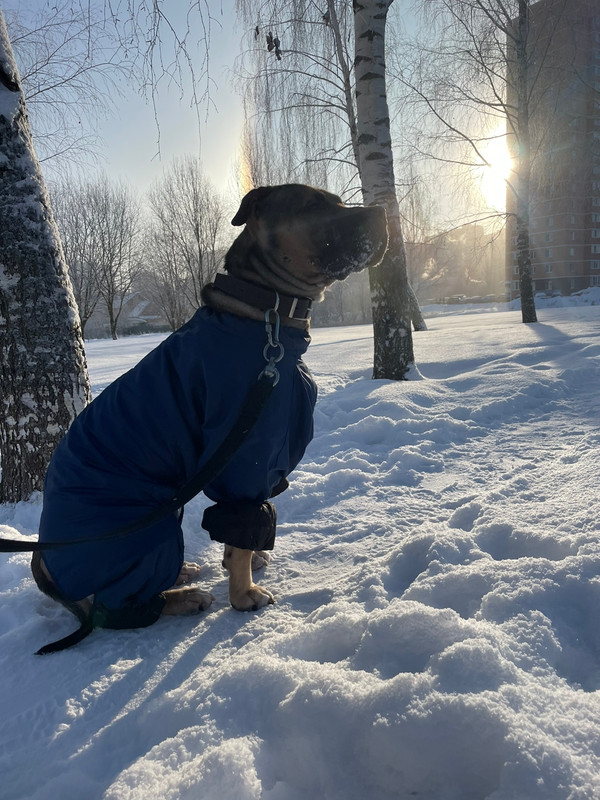 8394F7E6-1B33-435B-9F92-BE76ECA313F2