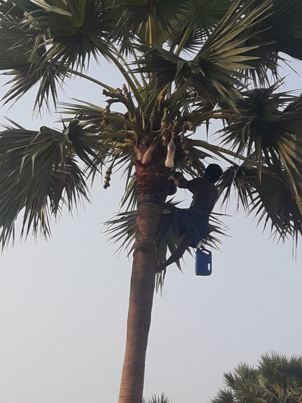 IMG-a7e71d7f5c670d53a9cbf482eea0df37-V-1