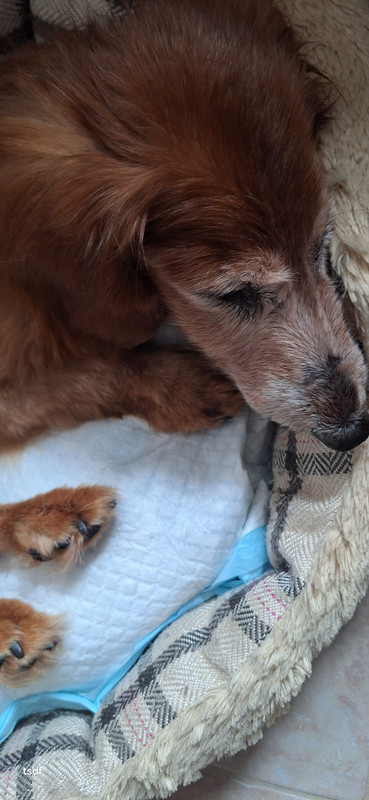 [Image: 20250830-175702.jpg]