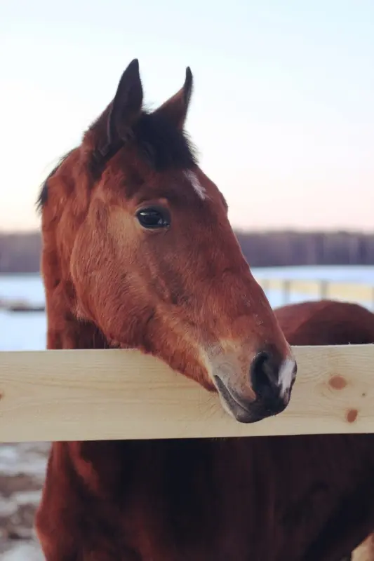 2w7RvpXR5-7GDh4vl6Gr6qS8VIFVpuvqNFZDMRY1qJERMSiQyfJnCPgzdhIMl-2AijOAF-yF