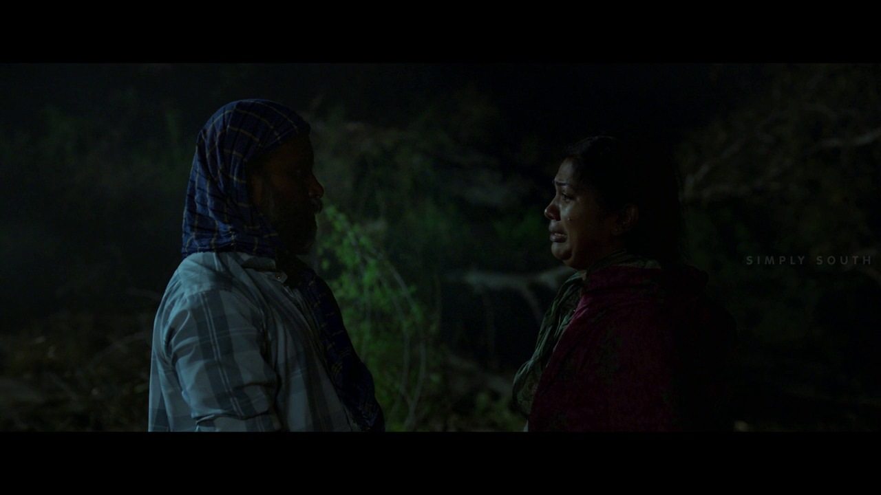 vlcsnap 2025 11 02 13h43m48s578