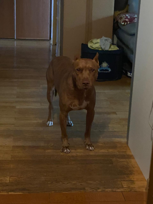 5C25A17C-35E8-473A-9267-BBE23D2D4CE2