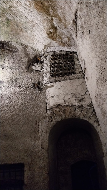 WhatsApp Image 2023-10-12 at 21.11.53 (1)