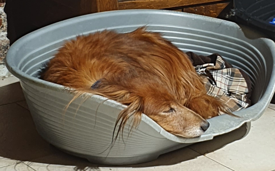 [Image: 20201130-174854.jpg]