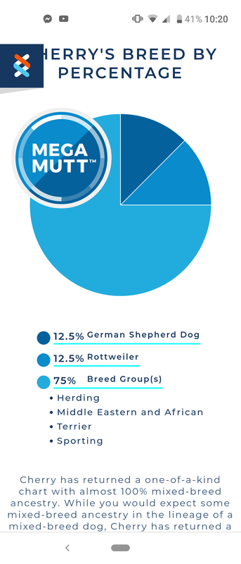 CHerry test for pedigree