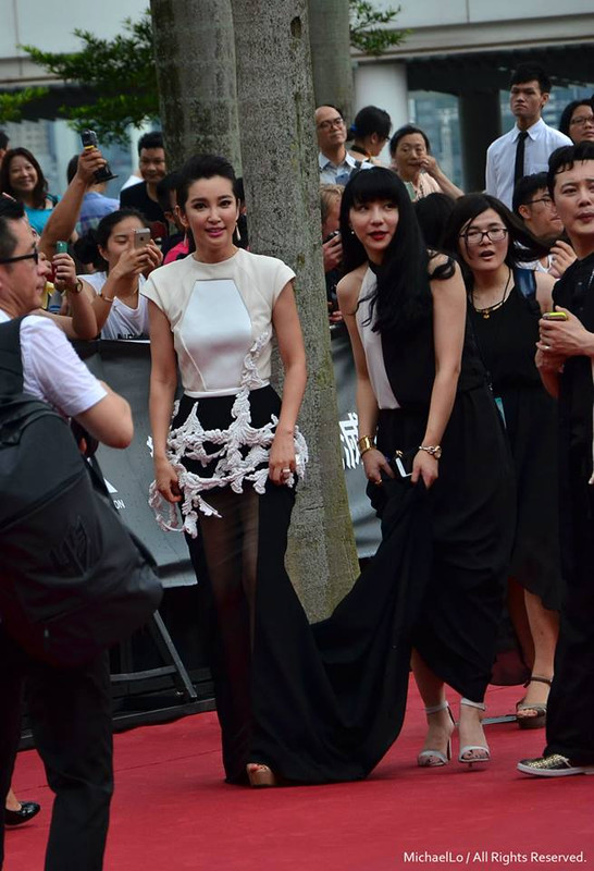 27446688d1403194581-tf4-age-extinction-premiere-