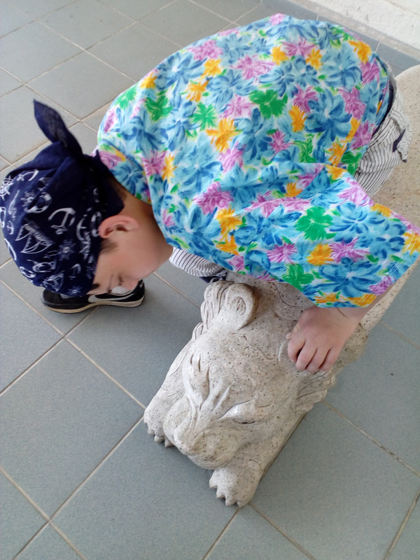 IMG_20170916_154029_1CS