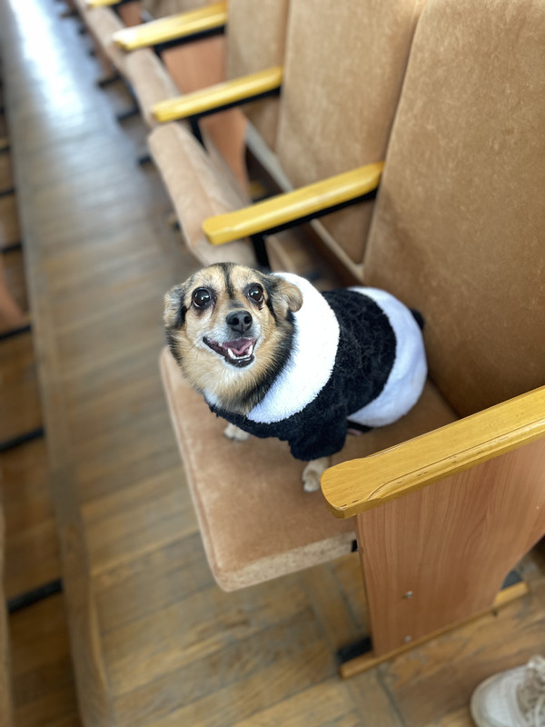 20EDF119-862D-4C10-82BD-ACEFFC6916DA