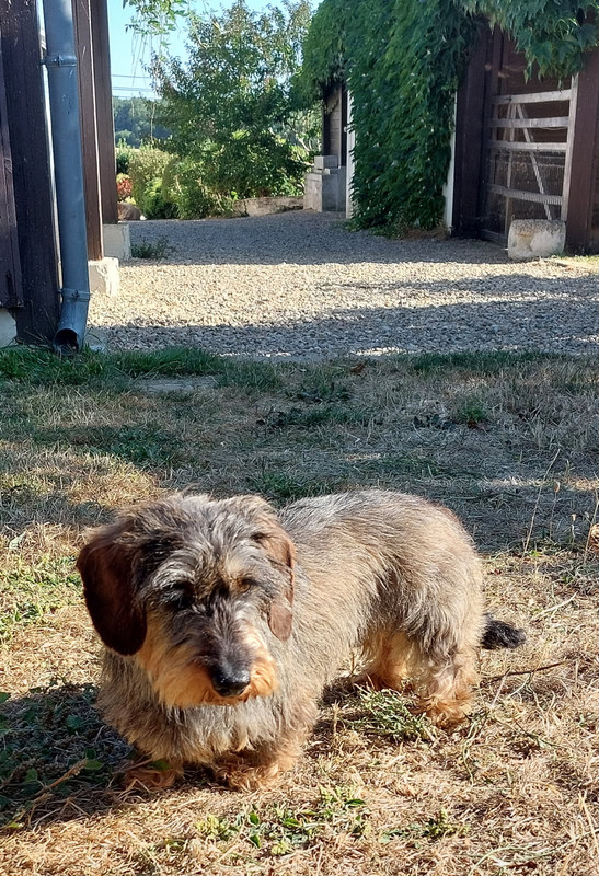 [Image: IMG-20250711-194930.jpg]