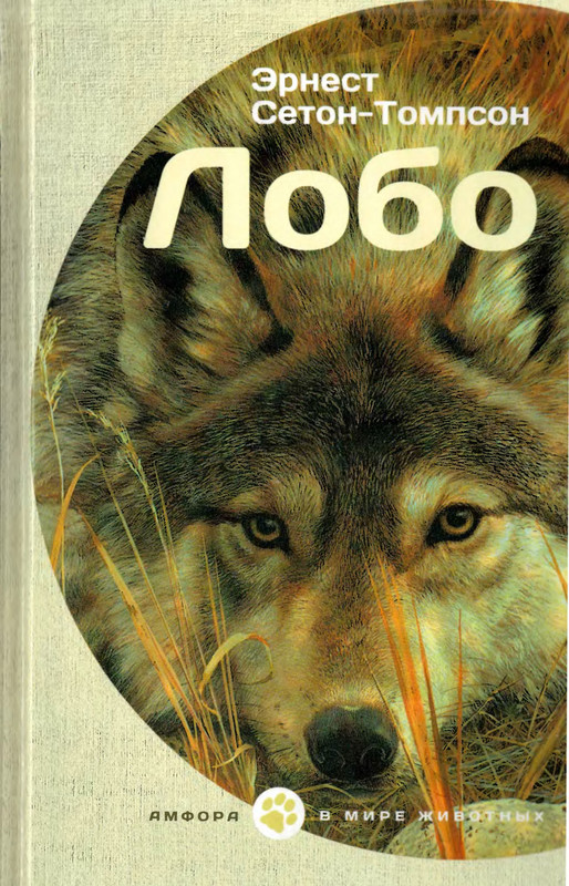 1-p0001