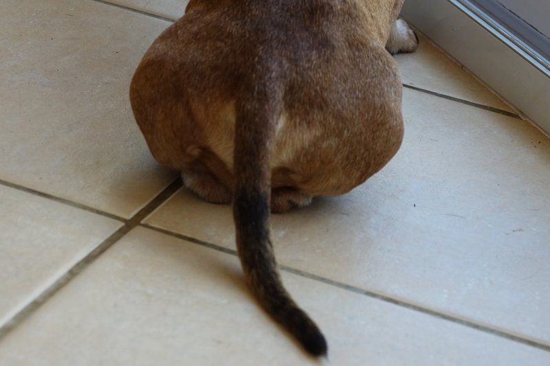 [Image: DSC00587.jpg]