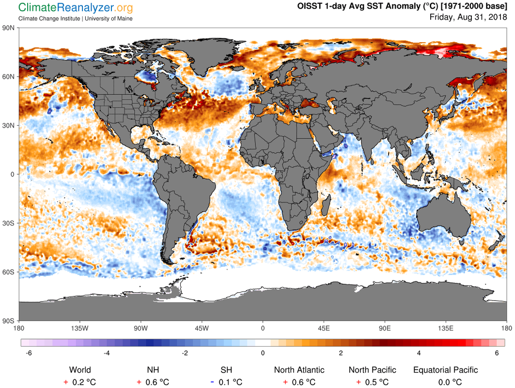 gfs_world-ced_sstanom_1-day