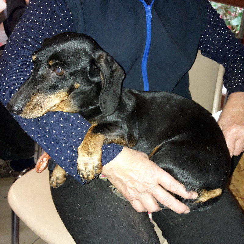 [Image: 20191110-133949.jpg]