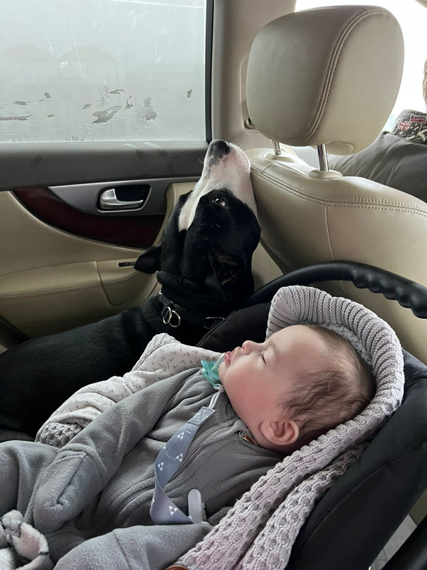 CB9B7A91-AF50-45E8-A194-59EF07155F6A