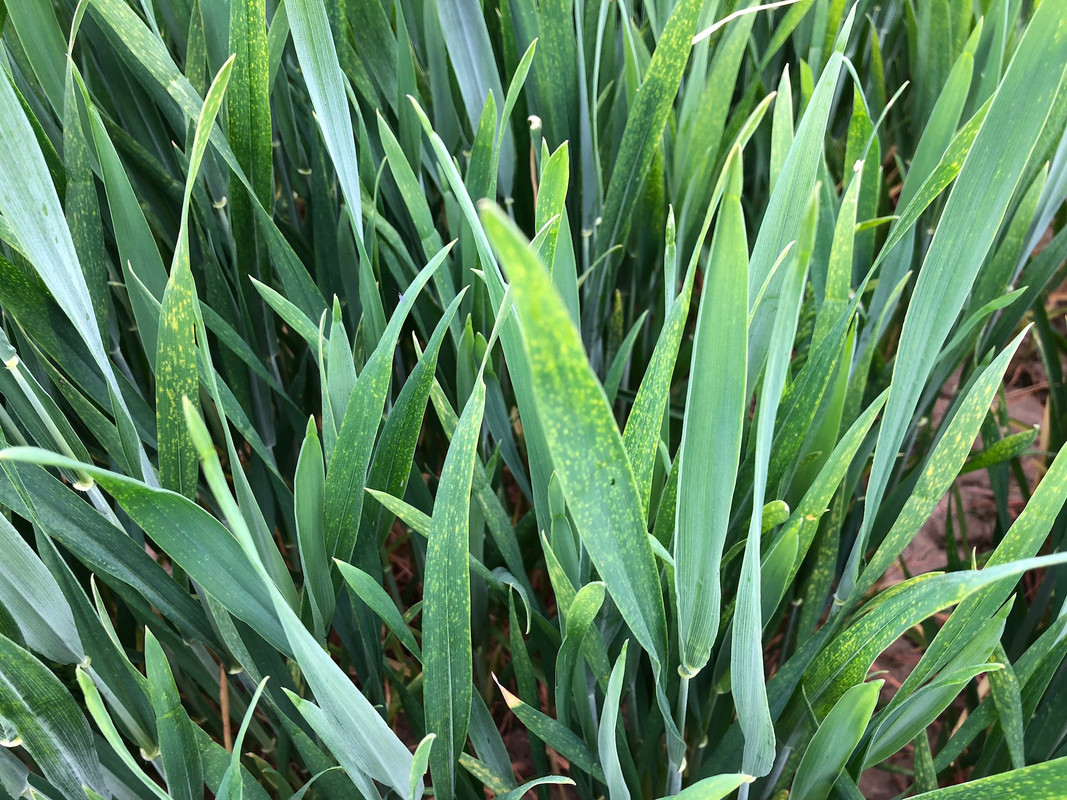 F754BD88-1B8D-4458-9AB9-844D06F16ACD