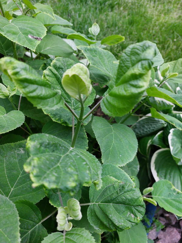 изображение_viber_2022-05-20_19-27-35-368