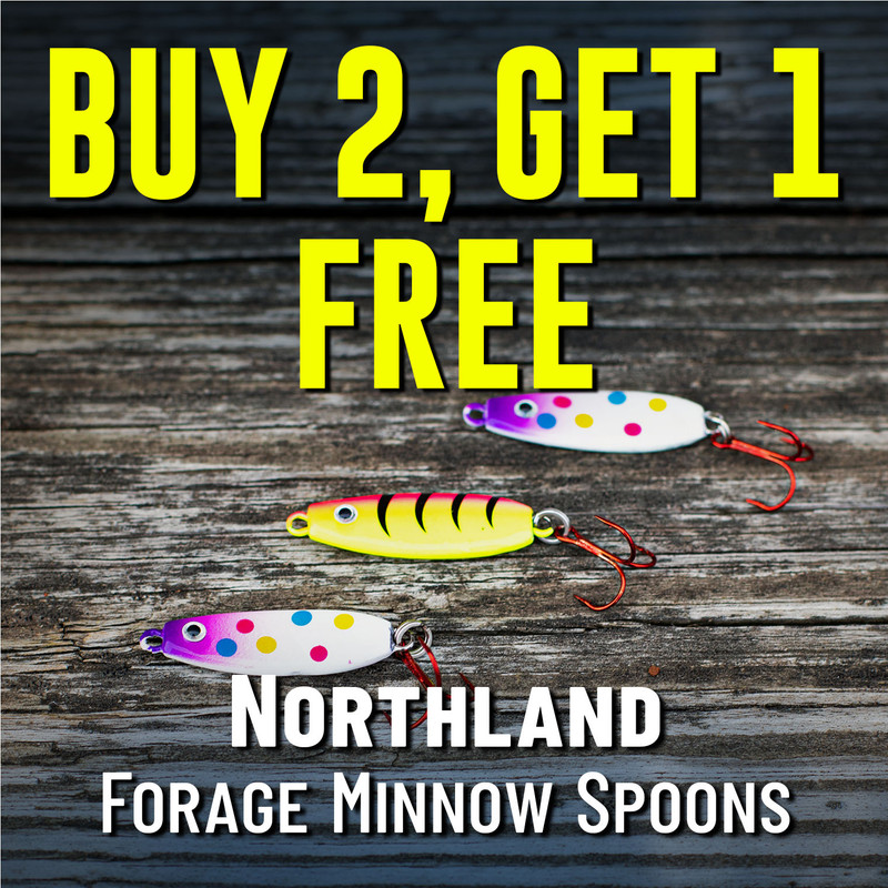 02 03 2026 B2G1 Northand Forage Minnow Spoons 2x