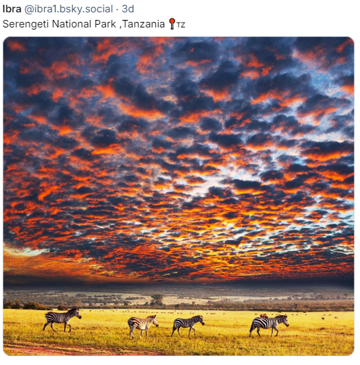 Serengeti