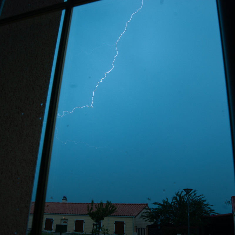 [Image: DSC-6858.jpg]
