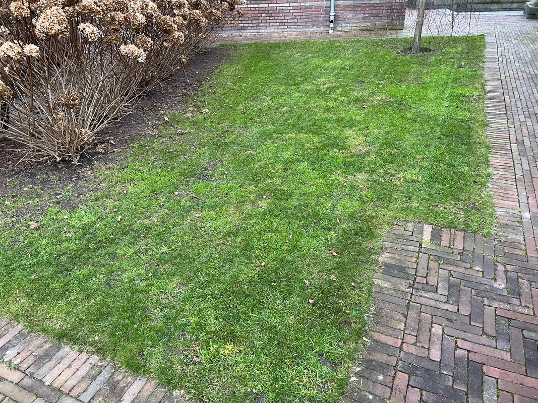 76768BB1-E138-4C03-90E0-825701C499CB