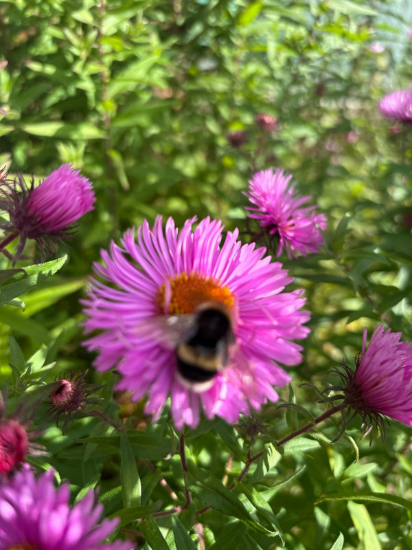 k6pf RAxbyf V y GR6Gm9Iz FY5d Na UZRSFq F0i2sl HPd Ns4 NBc Ja3E eq Lp M1Tpli TB5e HOh B4Bnz Ttxpm OZ