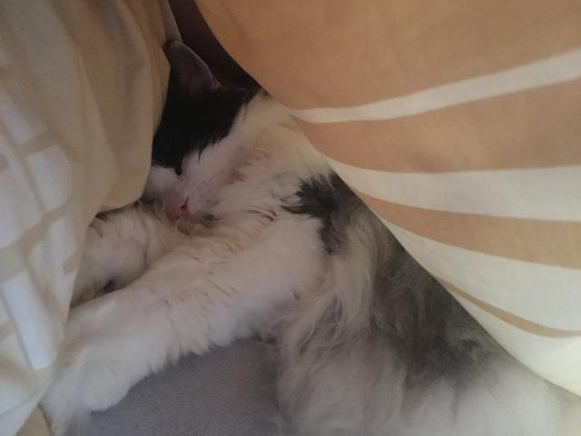 0-D9-B04-B5-A4-FC-476-E-9-ACB-245-F6-C55