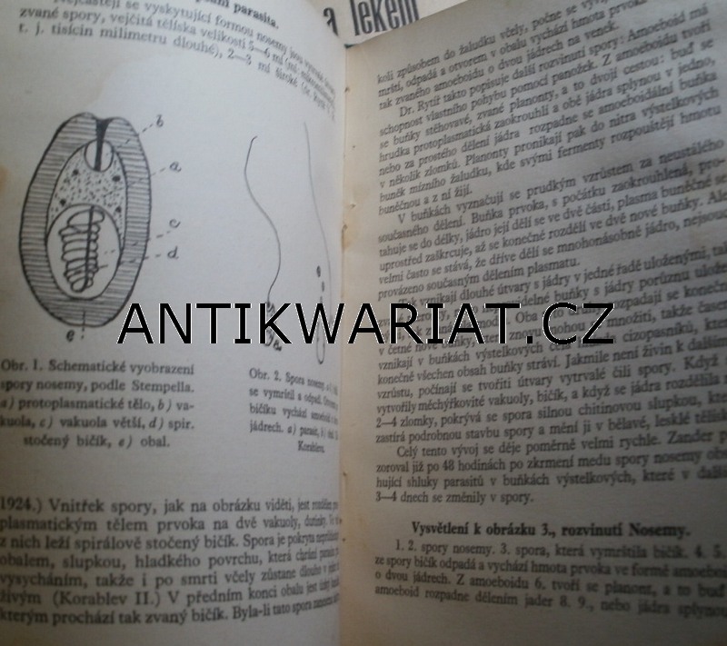 11a-AWECKO00038