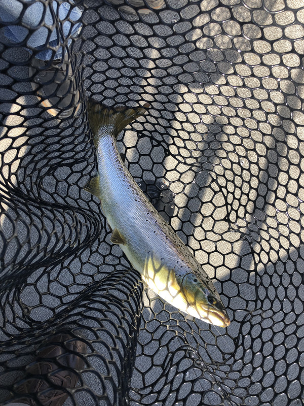 BF0EF5D9-80CB-4F80-B2FF-2DEC853F4427