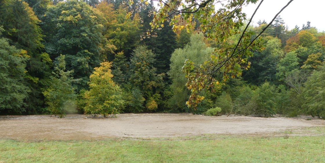 P1100010.jpg