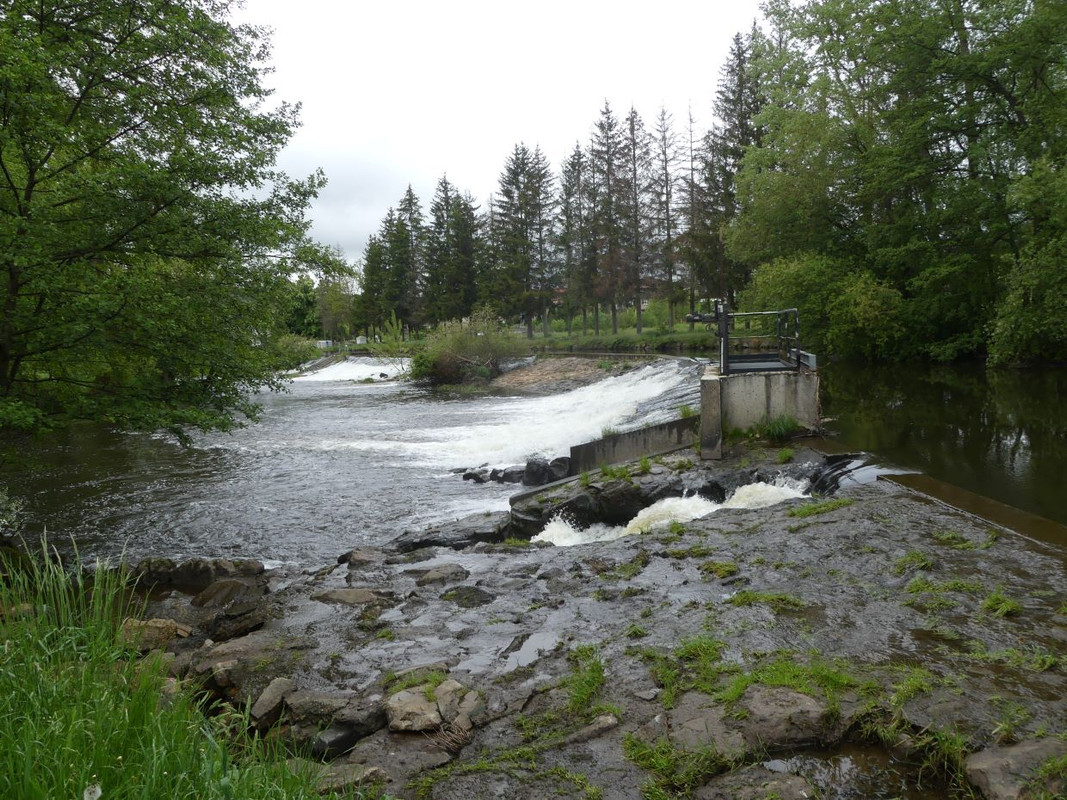 P1090645.jpg