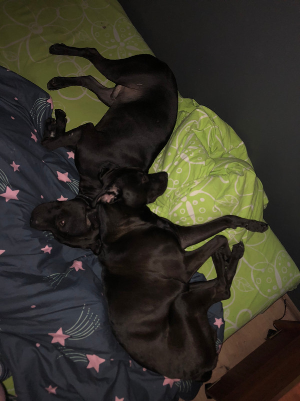 00D5F141-F21D-4C70-B40A-A87667F48E9F