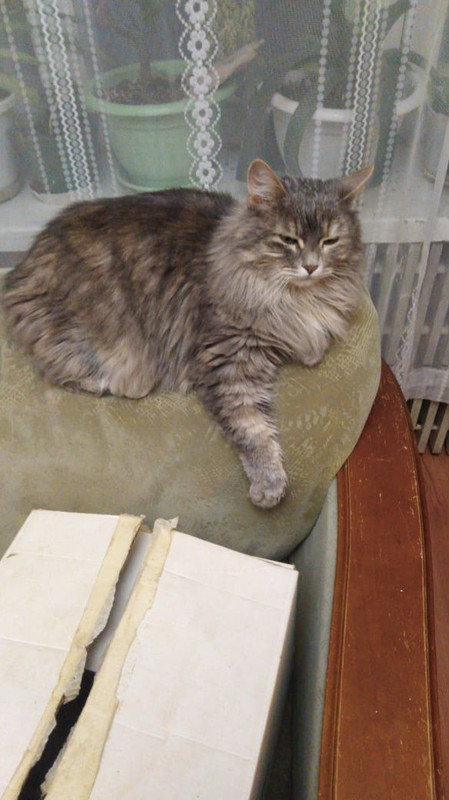 E9109F3D-6E1D-4DDF-A937-1D5A9F8BA913