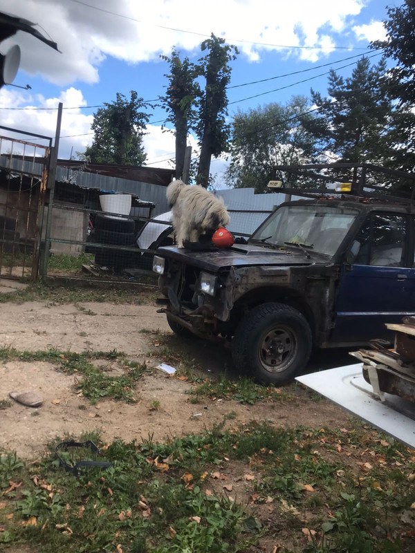 79562765-14CA-4A00-8ADF-60FF8CF54D03