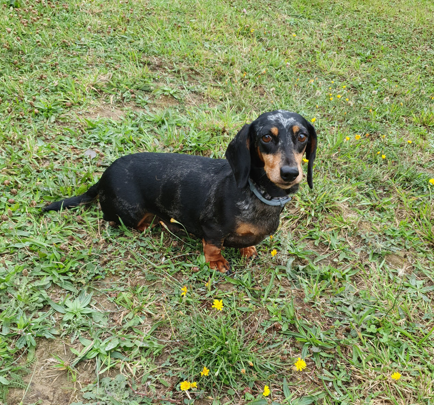 [Image: 20210919-193637.jpg]